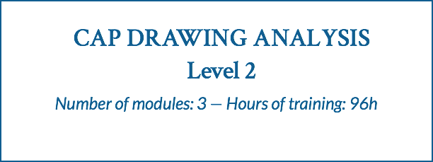  CAP DRAWING ANALYSIS Level 2 Number of modules: 3 — Hours of training: 96h