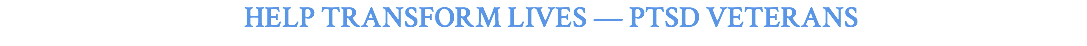 Help Transform Lives — PTSD VETERANS