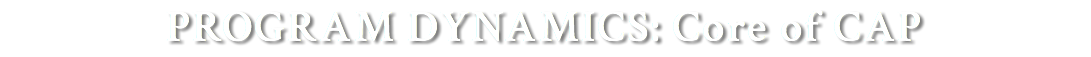 PROGRAM DYNAMICS: Core of CAP