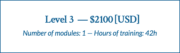  Level 3 — $2100 [USD] Number of modules: 1 — Hours of training: 42h