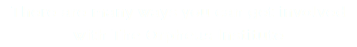 There are many ways you can get involved with The Orpheus Institute