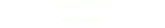 Drawing #10 with music
