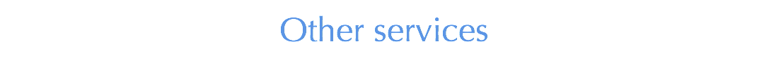 Other SERVICeS 